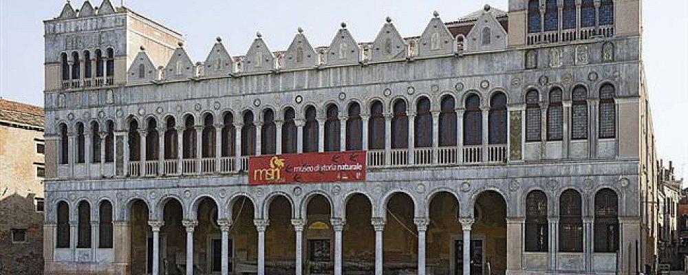 Дворец Фондако деи Турки Дворец Фондако деи Турки